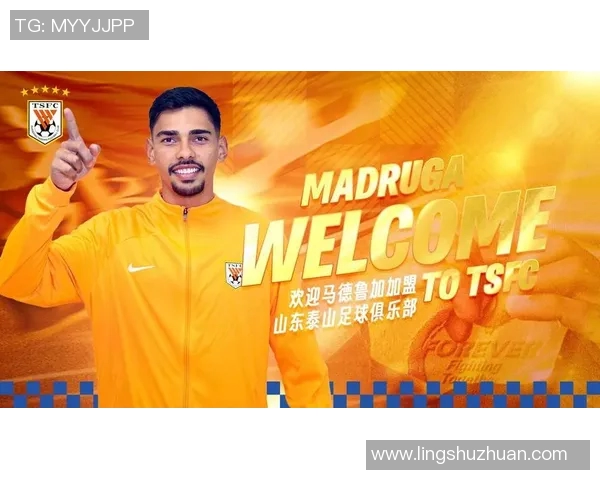 2010年足球明星卡收藏价值分析与市场趋势预测 2010年足球明星卡收藏价值分析与市场趋势预测